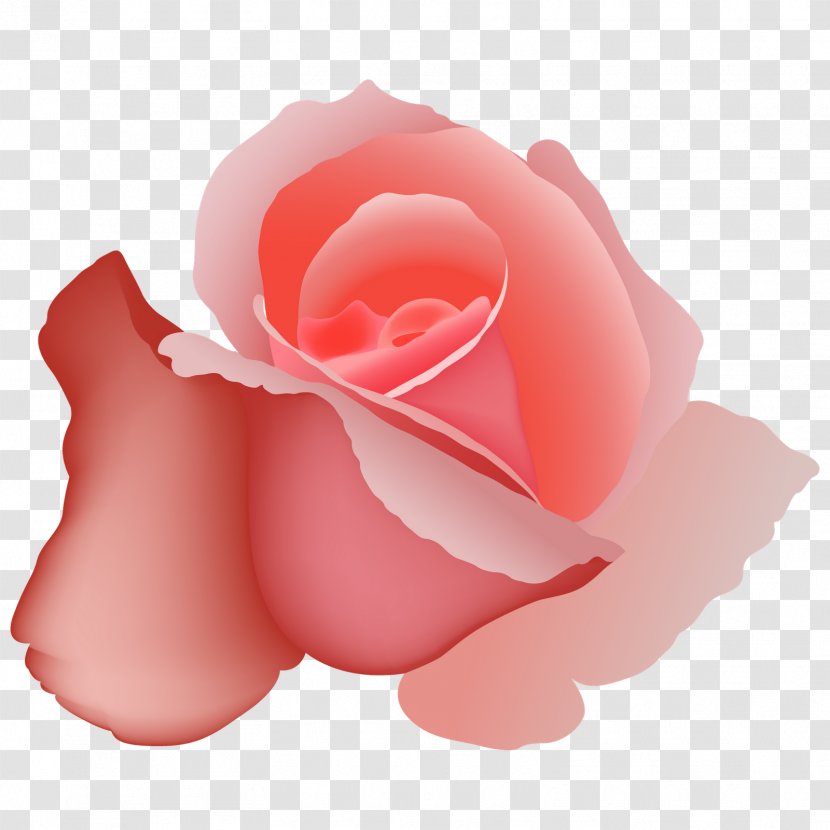 Vector Graphics Euclidean Illustration Red Rose - Flower Transparent PNG