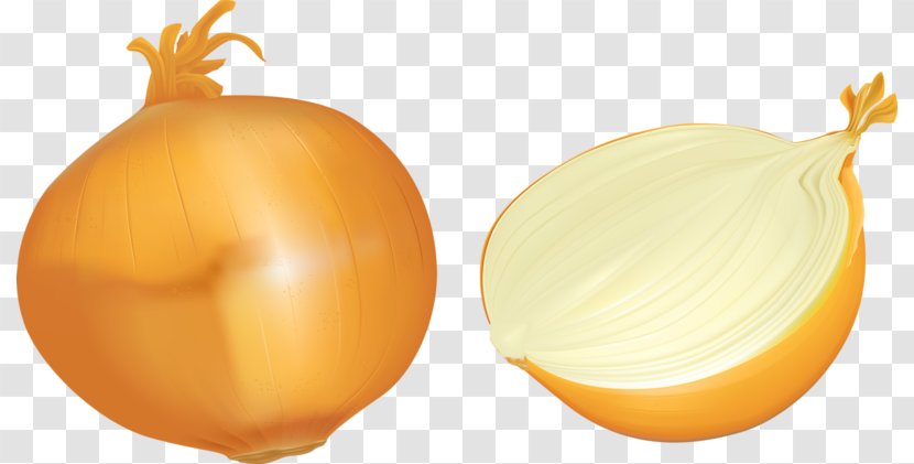 Onion Yellow Gratis - Vegetable - Delicious Transparent PNG