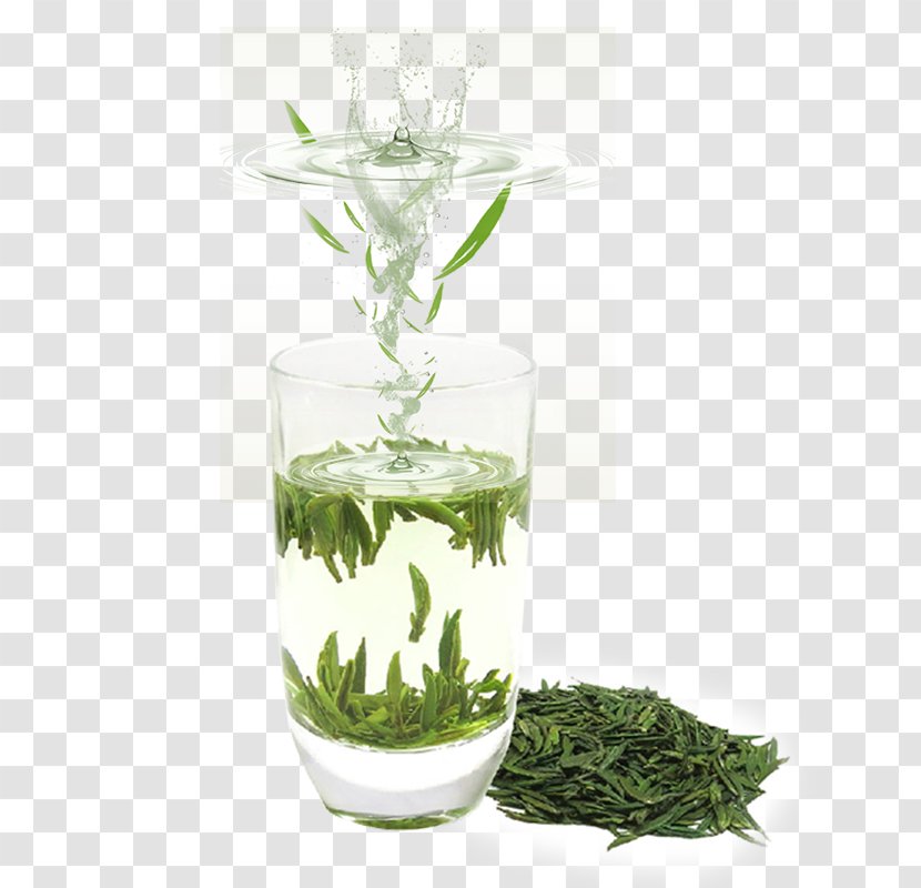 Green Tea Advertising - Free To Pull The Material Fresh Leaves Transparent PNG