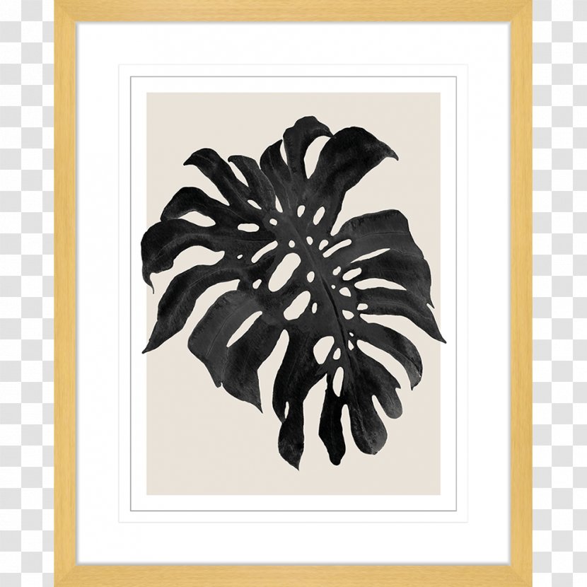 Swiss Cheese Plant Picture Frames Art Canvas Print - Philodendron - Design Transparent PNG