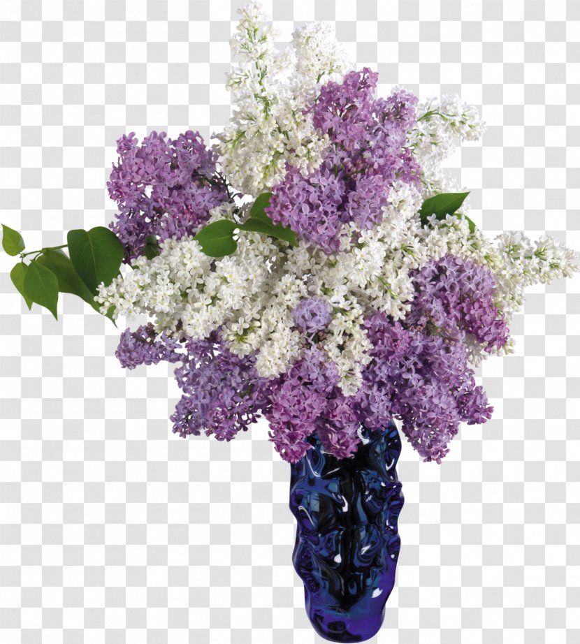 Common Lilac Flower Vase Desktop Wallpaper - Violet Transparent PNG