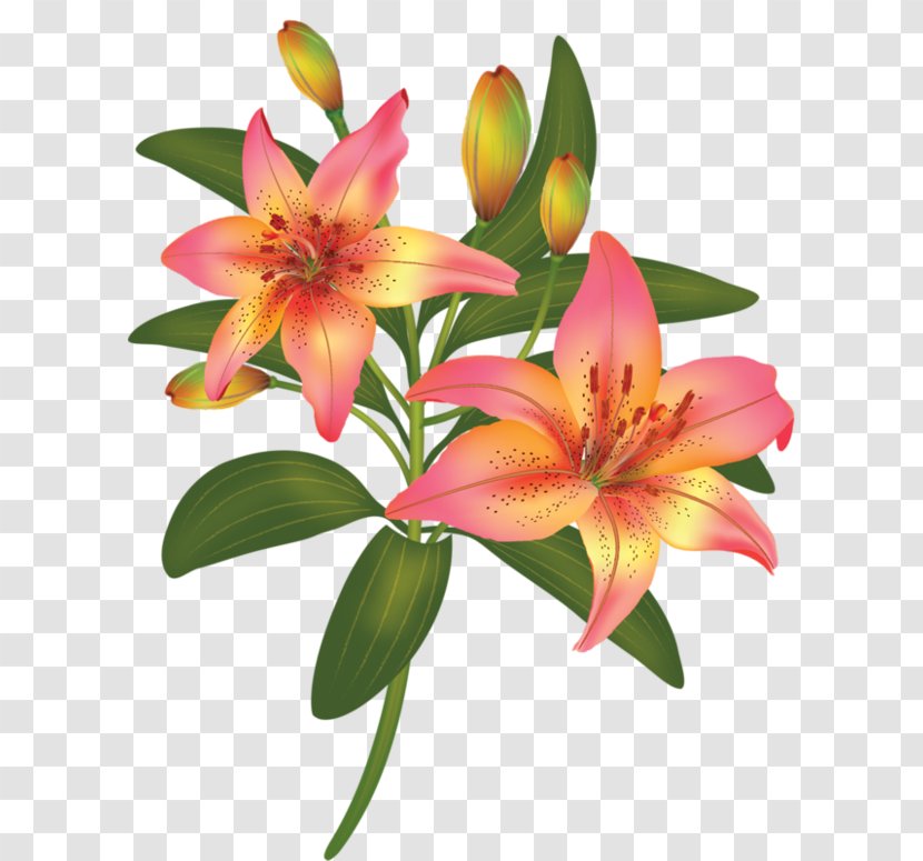 Flower Bouquet Clip Art - Tulip Transparent PNG