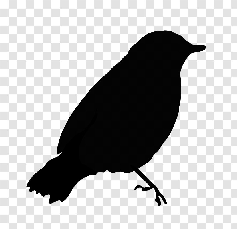 Bird Flight Clip Art - Crow Like - Magic Circle Transparent PNG