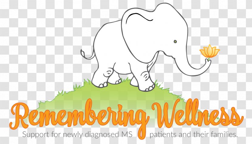 Indian Elephant Cat Health Coaching Clip Art - Fauna - Pumpkin Carriage Transparent PNG