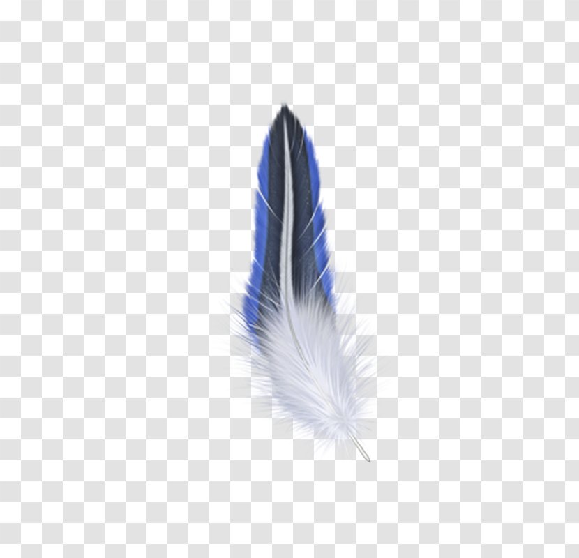 Feather Tapestry Wall Mug Ounce - Related Wings Transparent PNG