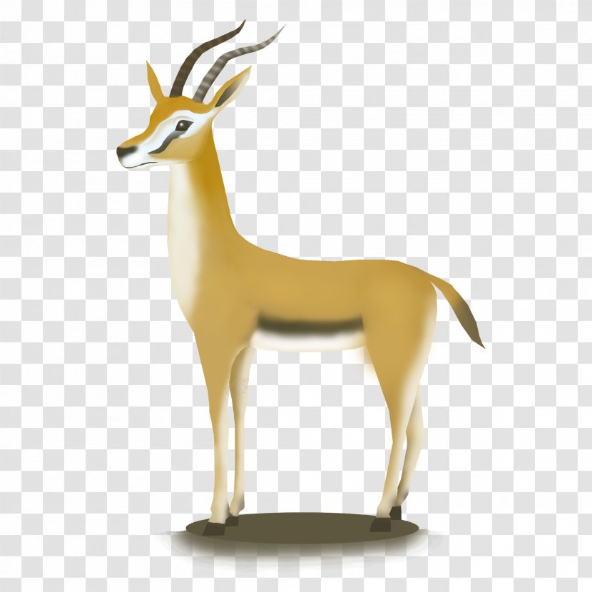 Drawing Of Family - Cowgoat - Fawn Horn Transparent PNG