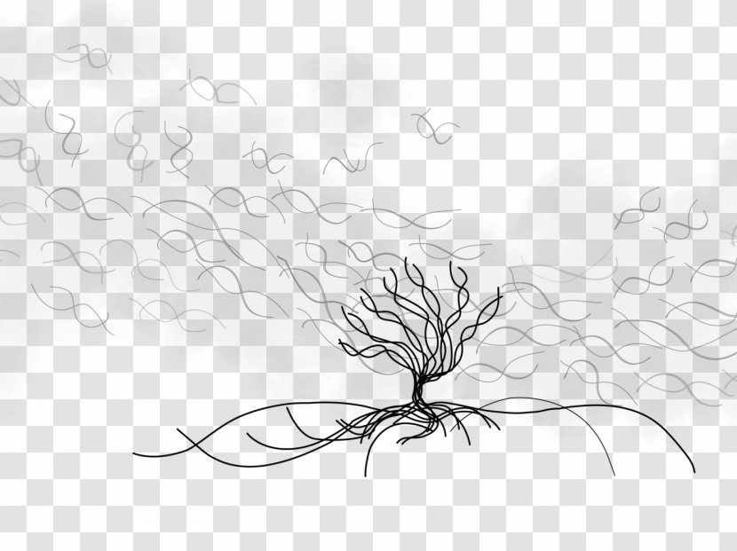 Sketch Visual Arts Illustration Line Art Plant Stem - Sky - Sea Anemones Transparent PNG