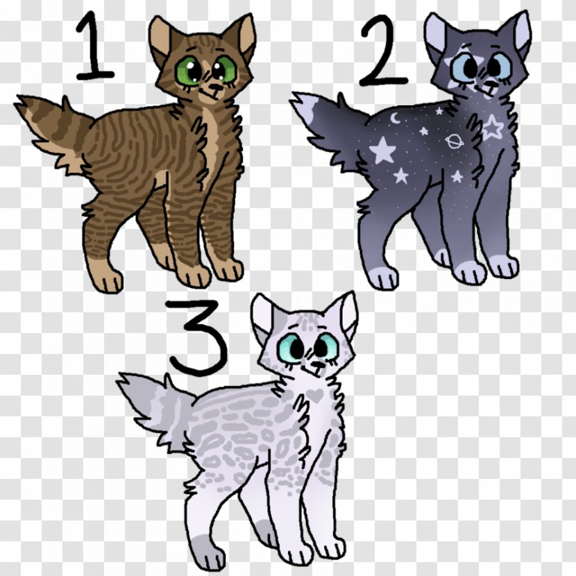 Whiskers Kitten Wildcat Domestic Short-haired Cat - Like Mammal Transparent PNG