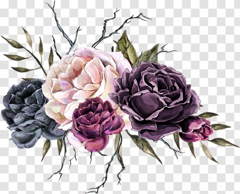 Cabbage Rose Garden Roses Cut Flowers - Family - Design Transparent PNG