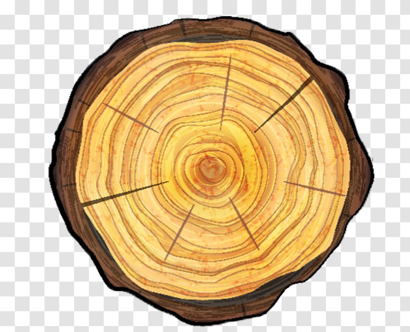 Wood Tree Stump Vector Graphics Trunk - Root Removal Transparent PNG