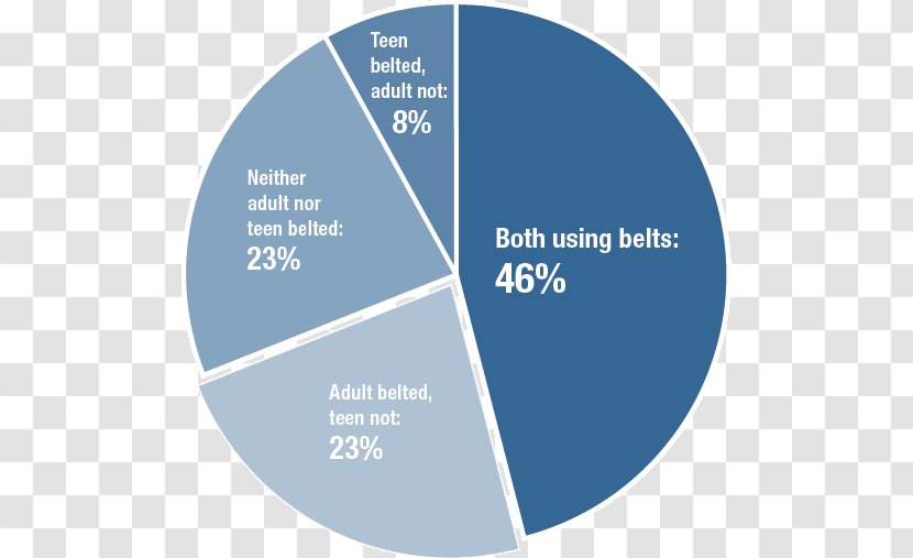 Marine Pollution Pie Chart Ocean Conservation - Buckle Up Transparent PNG