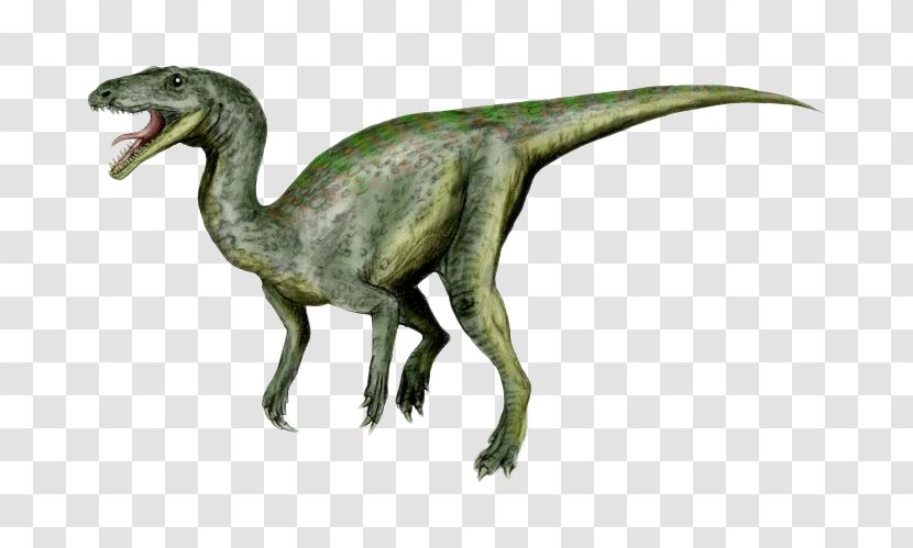 Gojirasaurus Dilophosaurus Godzilla Dinosaurs & Prehistoric Animals Dinosaur Pictures - Drawing Transparent PNG