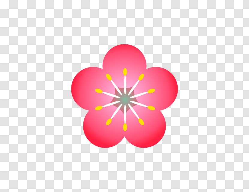 Plum Blossom Cherry Clip Art Transparent PNG