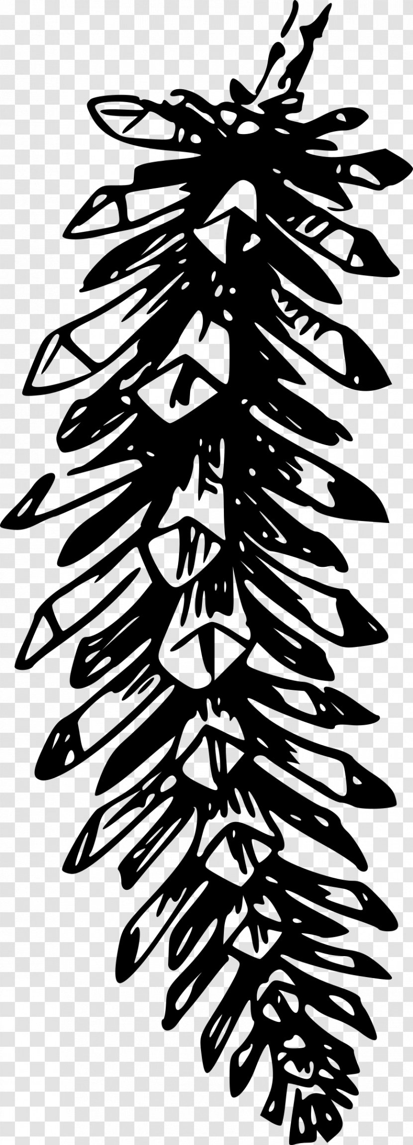 Conifer Cone Pine Conifers Clip Art - Fir Transparent PNG