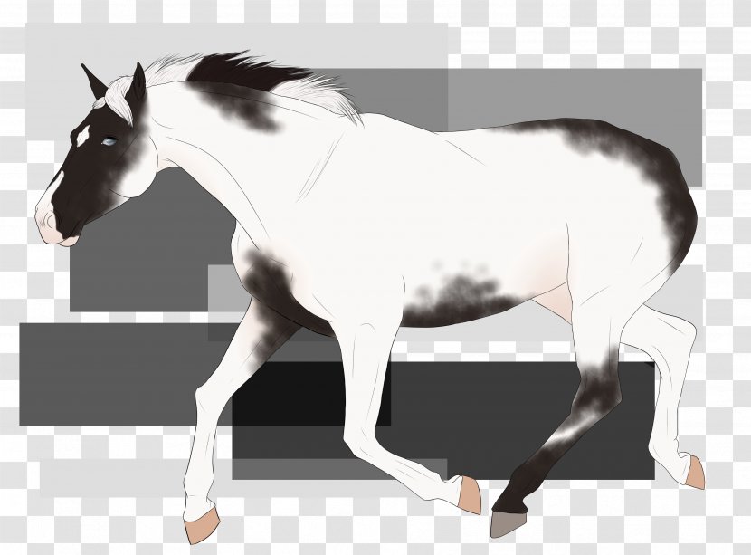 Mane Mustang Stallion Mare Pony - Bridle Transparent PNG