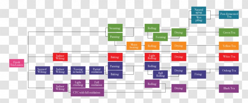 Graphic Design Brand Diagram - Text - Tea Processing Transparent PNG