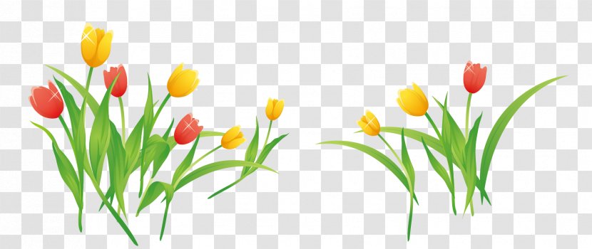 Tulip Flower Clip Art - Flowering Plant - Vector Tulips Transparent PNG