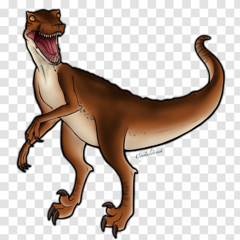 Velociraptor Drawing Tyrannosaurus Cat Dinosaur - Terrestrial Animal - F35 Raptor Transparent PNG