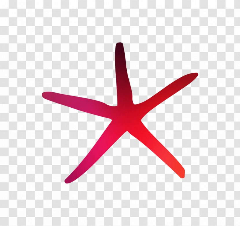 Starfish Line Angle Product Design Graphics - Pink - Echinoderm Transparent PNG