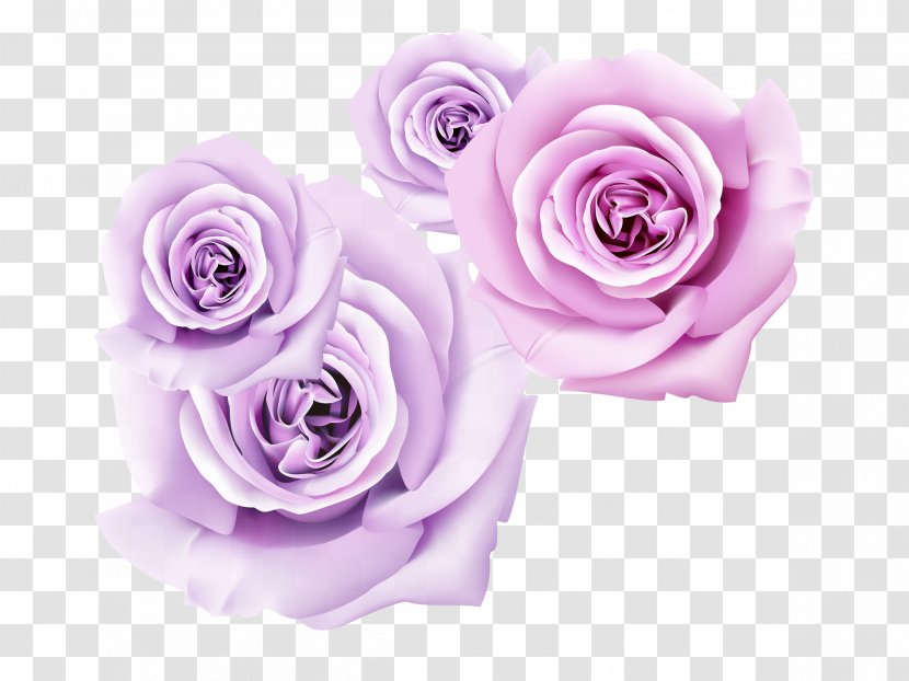 Garden Roses 3D Film Flower Wallpaper - Relief - Purple Rose Dimensional Transparent PNG
