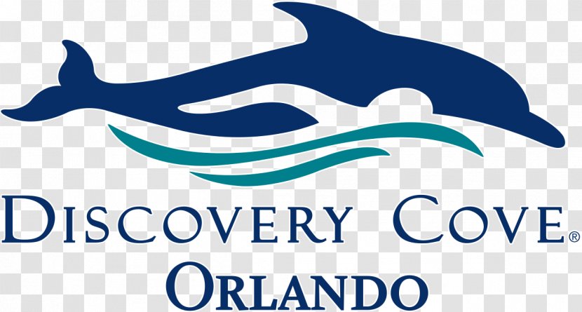 Discovery Cove SeaWorld Orlando Busch Gardens Tampa Aquatica Parks & Entertainment - Cruise Transparent PNG