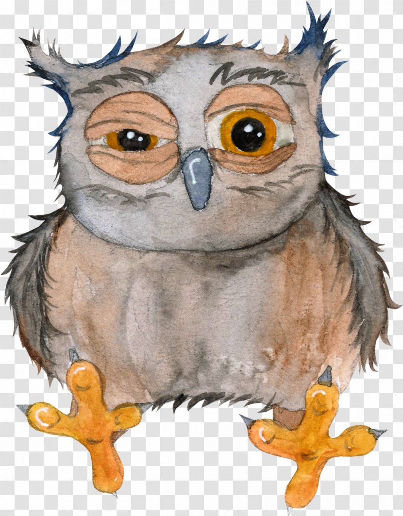 Owl Drawing Cartoon - Hand-drawn Transparent PNG