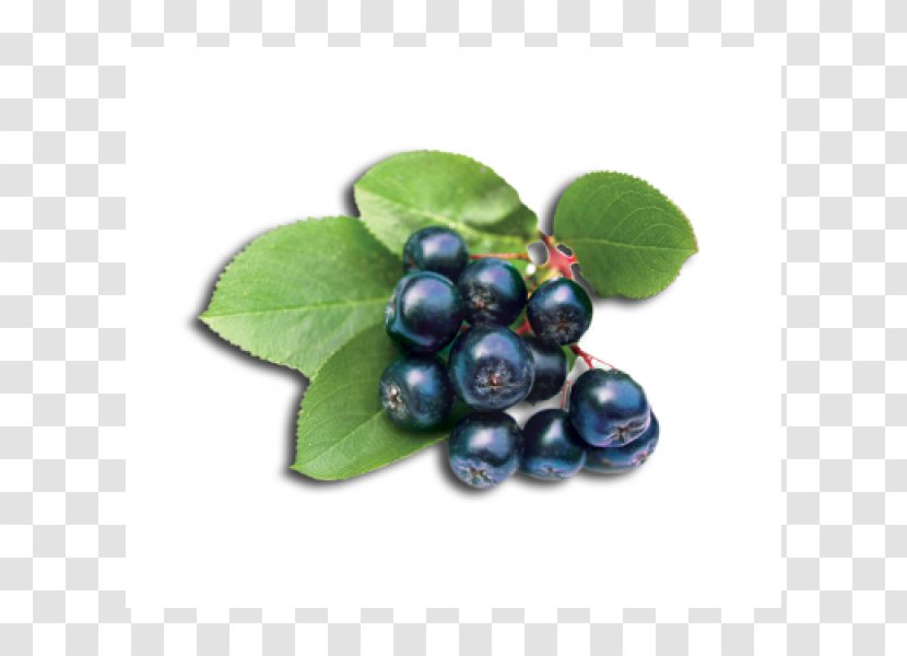 Blueberry Tea Aronia Melanocarpa Lingonberry Bilberry Transparent PNG