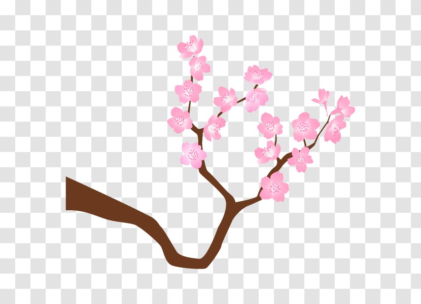 Cherry Blossom ST.AU.150 MIN.V.UNC.NR AD Clip Art Floral Design - Love Transparent PNG