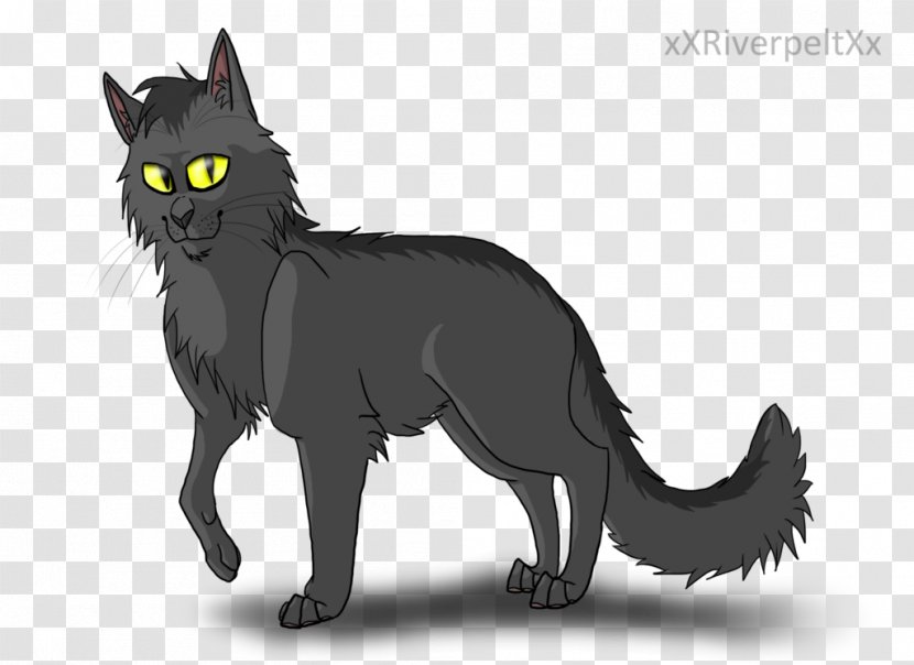 Black Cat Kitten Whiskers Domestic Short-haired - Carnivoran Transparent PNG