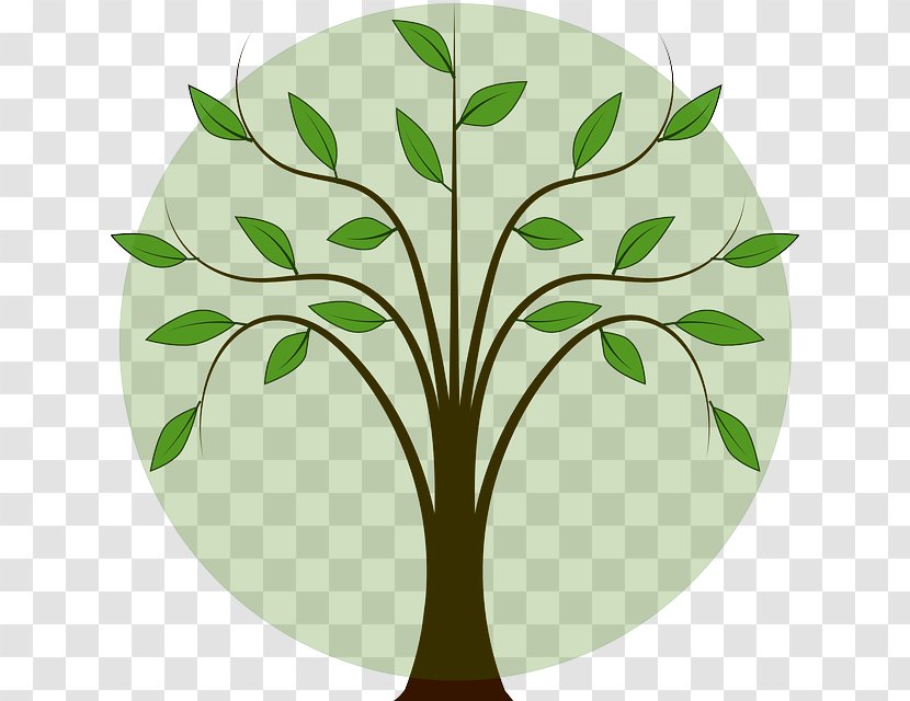 Clip Art Openclipart Vector Graphics Image Tree - Leaf Transparent PNG