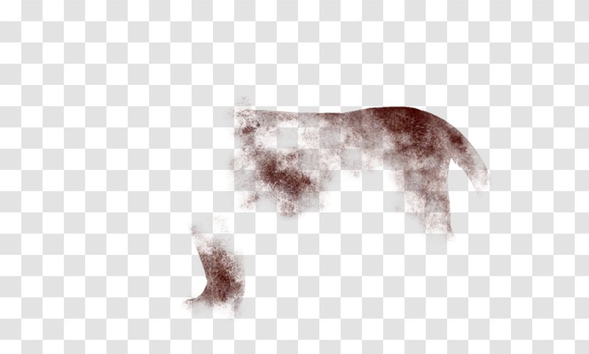 Siamese Cat Fur Canidae Dog Skin - Golden Scar Transparent PNG