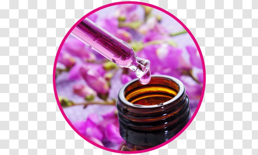Bach Flower Remedies Naturopathy Alternative Health Services Therapy Psychosomatic Medicine - Violet - Stefania Transparent PNG
