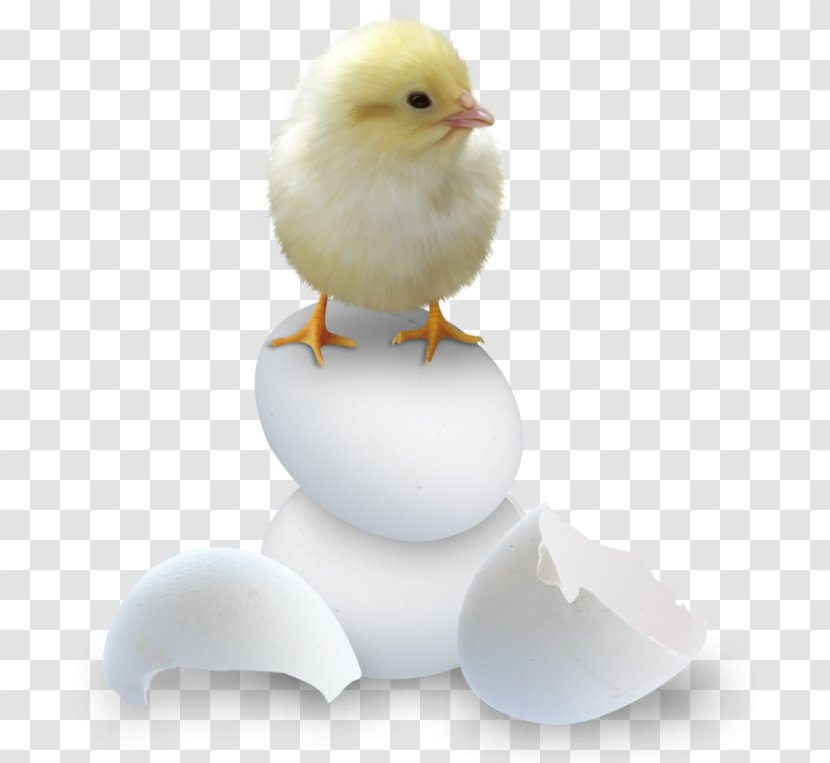 Easter Clip Art - Egg Transparent PNG
