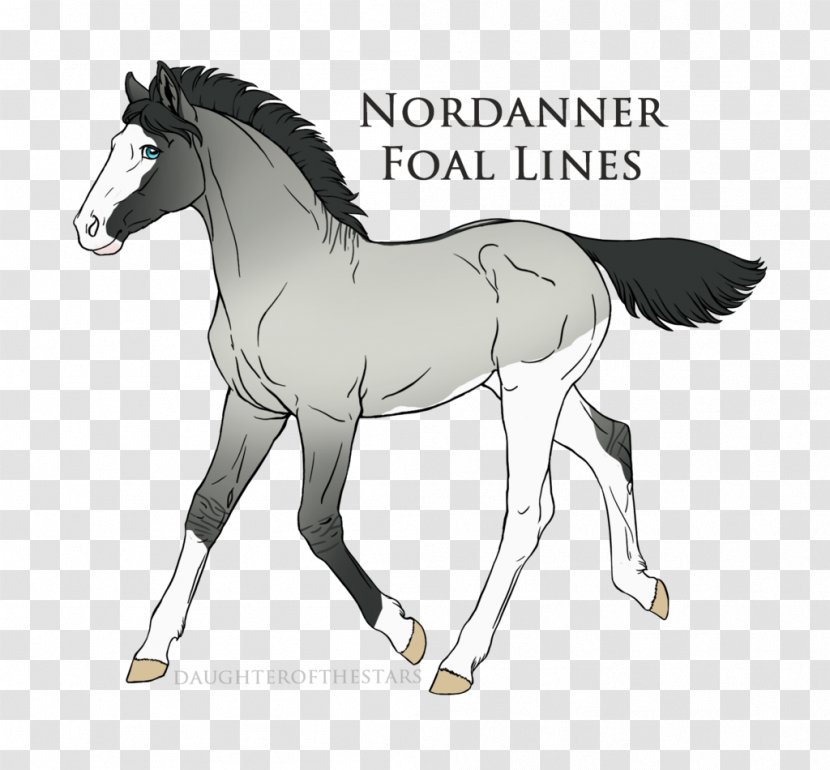 Foal Pony Stallion Colt Mare - Painting - Mustang Transparent PNG