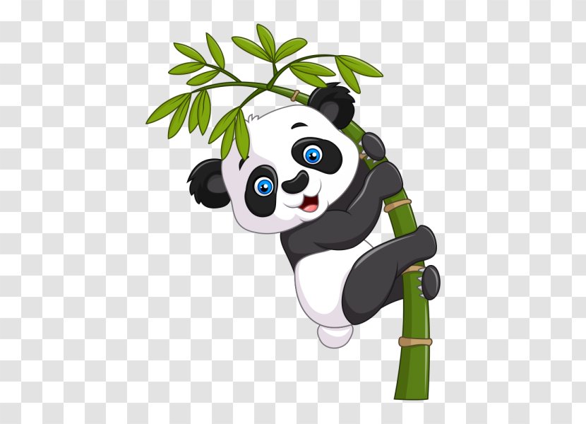 Giant Panda Vector Graphics Royalty-free Stock Photography Illustration - Istock - Bamboo Transparent PNG