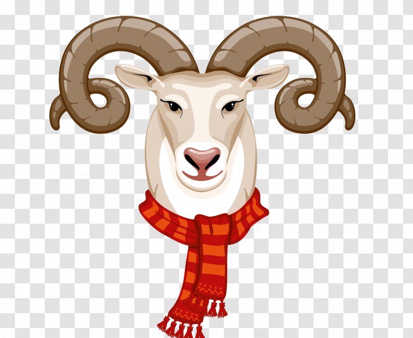Goat Sheep Illustration - Horn - Sheepshead Transparent PNG
