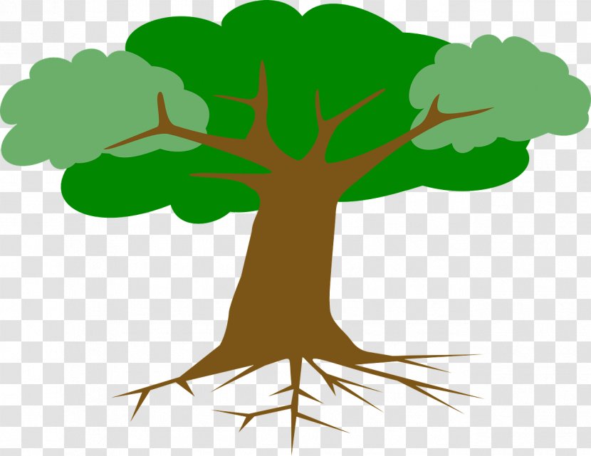 Drawing Root Tree Clip Art - Branch Transparent PNG