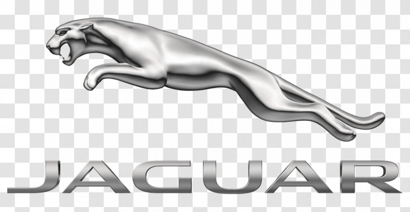 Jaguar Cars Land Rover - Vehicle - Car Transparent PNG
