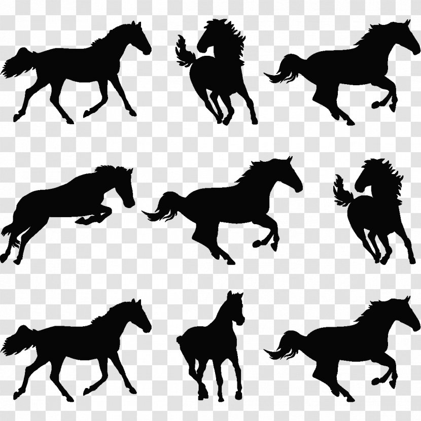 Wild Horse Photography Vector Graphics - Mustang Transparent PNG