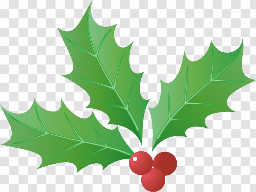 Jingle Bells Christmas - Flower - American Holly Transparent PNG