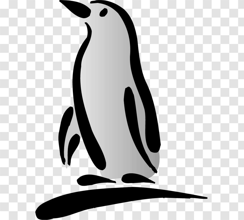 Christmas Penguin Black And White Bird Clip Art - King - Penguins Transparent PNG
