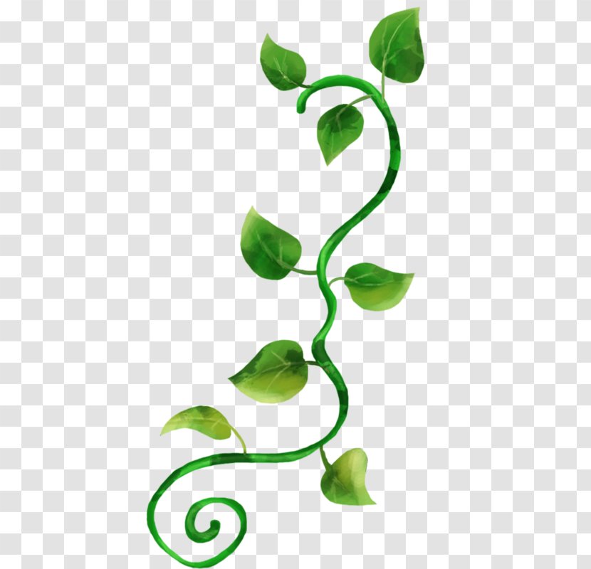 Product Design Clip Art Green Plant Stem - Flower - Leaf Transparent PNG