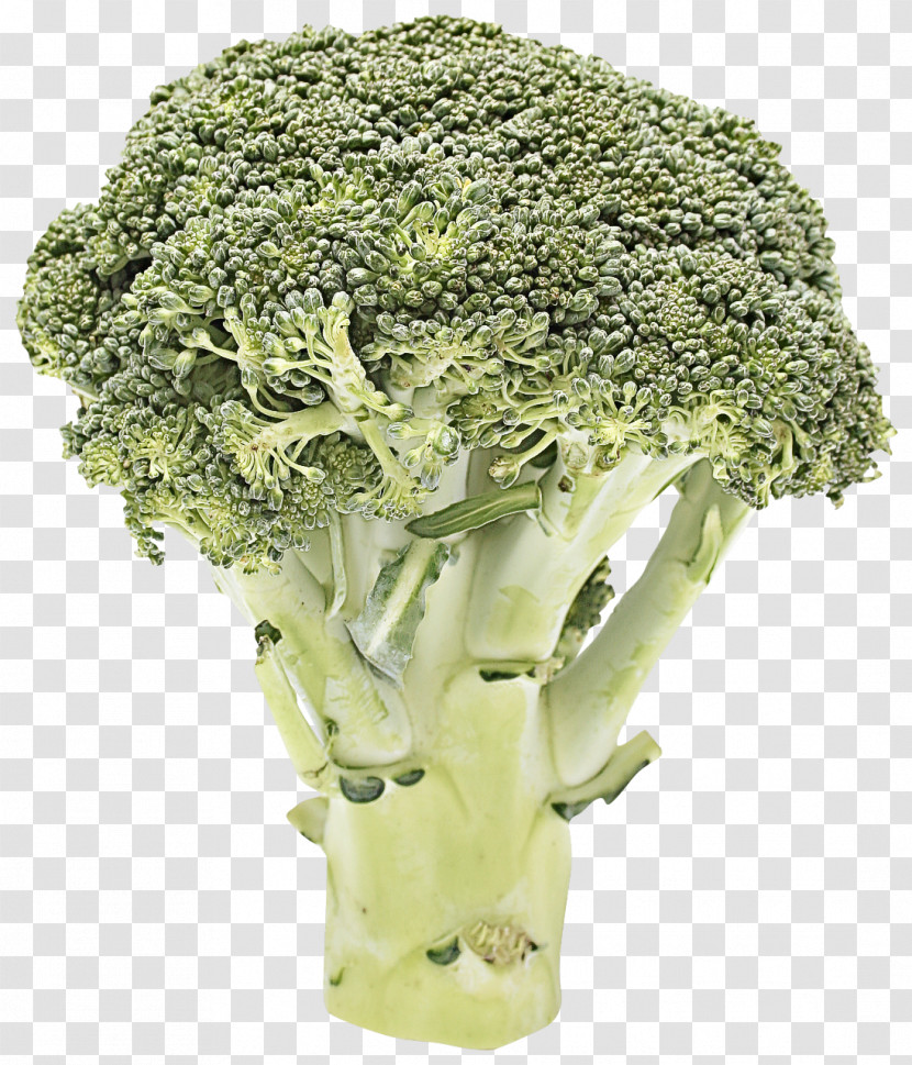 Cauliflower Transparent PNG