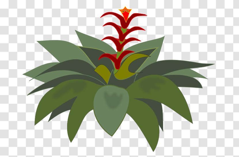 Bromelia Clip Art - Flowerpot Transparent PNG