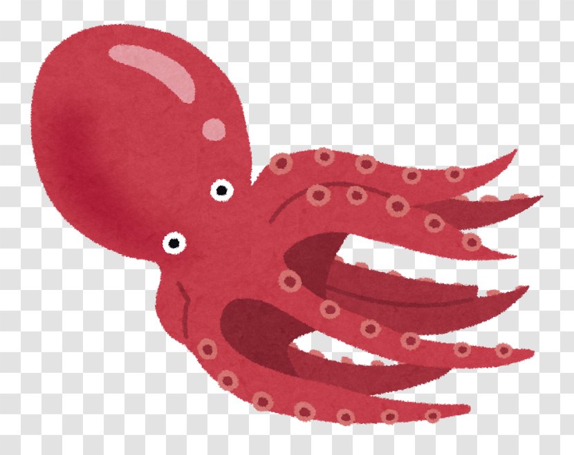 Octopus Squid Ikizukuri エギング (株)ハウスウェーブ - Organism - Tako Transparent PNG