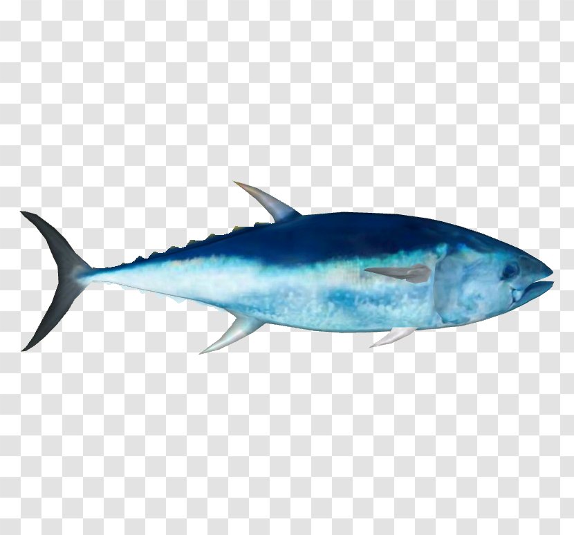 Fish Cartoon - Yellowfin Tuna - Parrotfish Marlin Transparent PNG