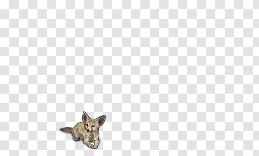 Cat Fauna Wildlife Tail Carnivora - Animal - Fennec Fox Transparent PNG