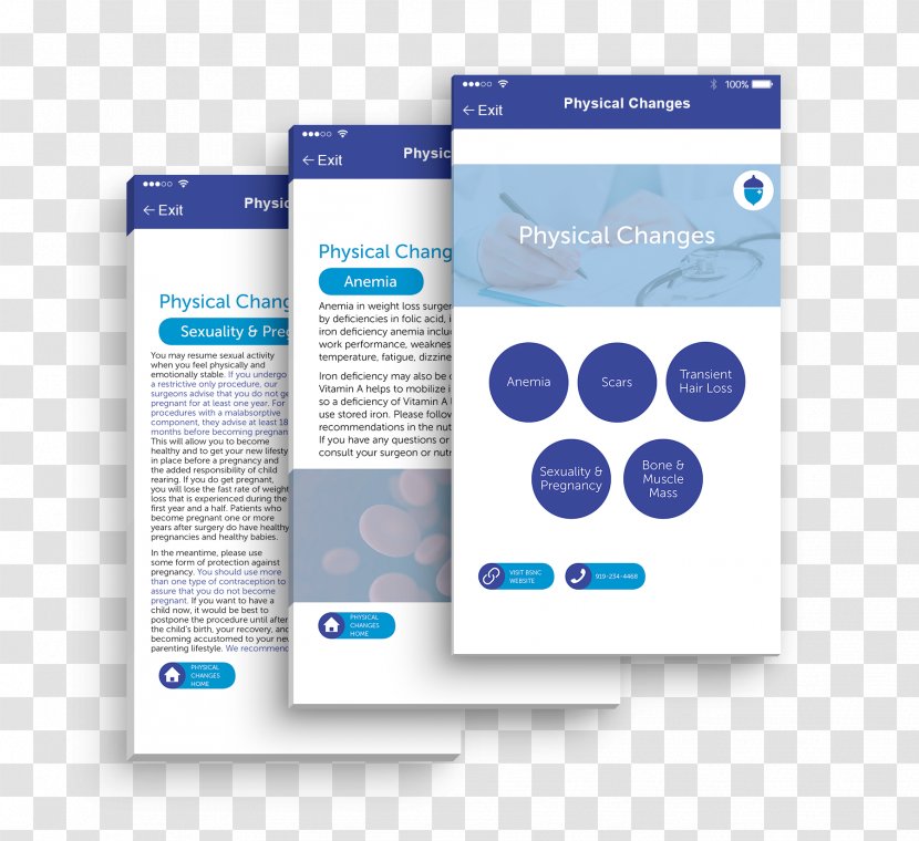 Graphic Designer - Brochure - Design Transparent PNG