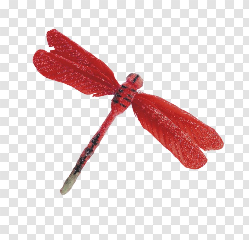 Red Dragonfly Icon Transparent PNG