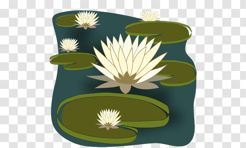 Easter Lily Nymphaea Alba Pond Clip Art - Free Content - Water Crate Cliparts Transparent PNG